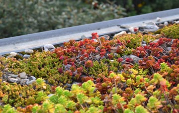 the cost of Titchfield green roof installation