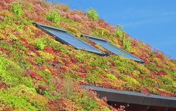 Titchfield living roof systems