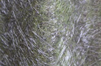 Titchfield fibreglass roof work